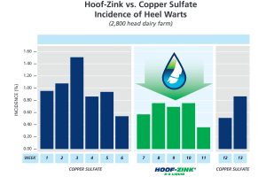 Hoof Zink vs Copper sulfate effectiveness chart